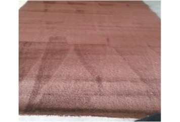 Solid Rug Brown (Carpet) in Orlando