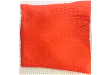 Pillow Bright Orange (Pillows) in Orlando