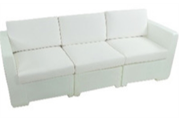 Radiant Sofa in Orlando