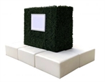 Island Banquette Hedge in Orlando