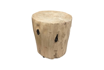 Tree Stump End Table in Orlando