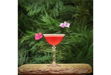 Virtual Spring Mixology in Nationwide