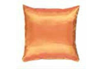 Pillow Fiery Orange (Pillows) in Orlando