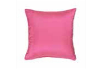 Pillow Fuschia (Pillows) in Orlando