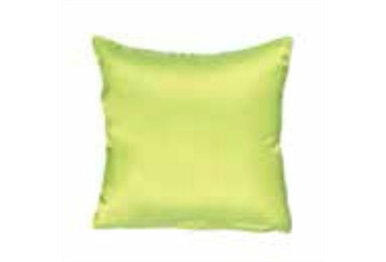 Pillow Lime Green (Pillows) in Orlando