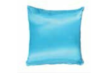 Pillow Turquoise (Pillows) in Orlando