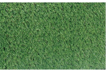 Solid Rug Grass in Orlando