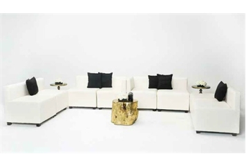 Black White and Gold Combination in Tampa, St Petersburg