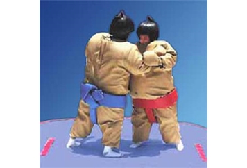 Sumo Wrestling in Miami, Ft. Lauderdale, Palm Beach