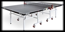 Ping Pong Table in Naples, Marco Island, Ft. Myers