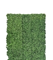 Boxwood Hedge Short (Faux) in Miami, Ft. Lauderdale, Palm Beach