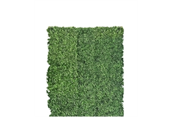 Boxwood Hedge Short (Faux) in Miami, Ft. Lauderdale, Palm Beach