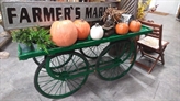 Harvest Cart in Miami, Ft. Lauderdale, Palm Beach