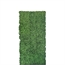 Hedge Green - Large in Naples, Marco Island, Ft. Myers