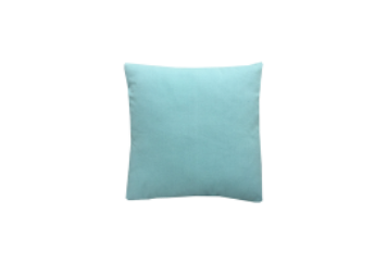 Pillow - Aqua in Orlando