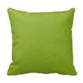 Pillow - Avocado in Naples, Marco Island, Ft. Myers