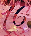 Acrylic Table Numbers in Tampa, St Petersburg