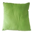 Pillow Lime in Orlando