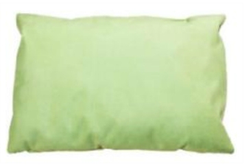Pillow Small Light Green (Pillows) in Orlando