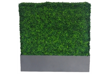 Boxwood Hedge Wall (Gray Planter) in Miami, Ft. Lauderdale, Palm Beach