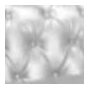Silver Tufted
