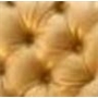 Gold Tufted