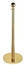 Stanchion Pole Gold - 3ft in Orlando