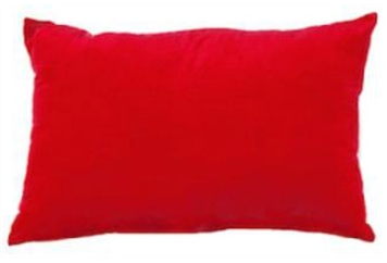 Pillow Large Red in Orlando