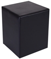 Black Leather Cube Ottoman in Orlando