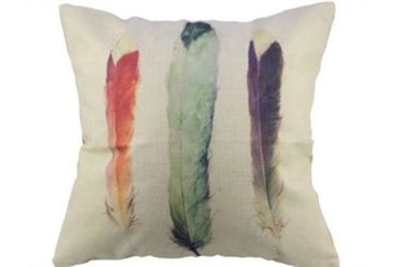 Pillow - Feather in Orlando