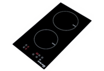 Induction 2-burner in Miami, Ft. Lauderdale, Palm Beach