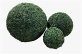 Topiary Balls - 1ft 7in in Miami, Ft. Lauderdale, Palm Beach