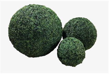 Topiary Balls - 1ft 7in in Miami, Ft. Lauderdale, Palm Beach