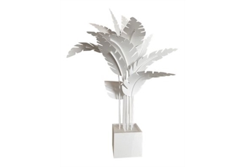 Oasis Palm - White in Miami, Ft. Lauderdale, Palm Beach