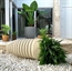 Cocoon Planter in Miami, Ft. Lauderdale, Palm Beach