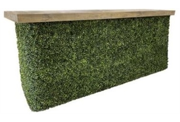 Hedge Bar - 4ft in Orlando