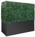 Mini Hedge Wall - Black Base - 2'9" in Miami, Ft. Lauderdale, Palm Beach