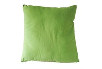 Pillow Lime in Orlando