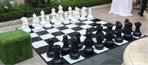 Giant Chess in Miami, Ft. Lauderdale, Palm Beach