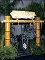 Bamboo Archway with Trees, Plants and Other Foliage in Miami, Ft. Lauderdale, Palm Beach