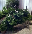 Footbridge with Foliage in Miami, Ft. Lauderdale, Palm Beach