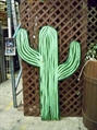 Cactus - Wooden Medium in Miami, Ft. Lauderdale, Palm Beach