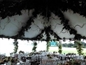 Garland - Ceiling Decor in Miami, Ft. Lauderdale, Palm Beach