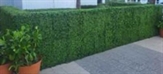 Hedge Wall Low - Double Sided in Miami, Ft. Lauderdale, Palm Beach