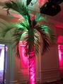 Palm Tree Faux 10ft in Miami, Ft. Lauderdale, Palm Beach