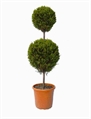 Topiary Tree 2 Ball 6ft in Miami, Ft. Lauderdale, Palm Beach