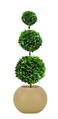 Topiary Tree 3 Ball 6ft in Miami, Ft. Lauderdale, Palm Beach