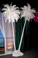 Yucca Trees with Feather Plumes in Miami, Ft. Lauderdale, Palm Beach