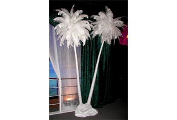 Yucca Trees with Feather Plumes in Miami, Ft. Lauderdale, Palm Beach