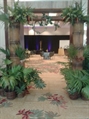 Bamboo Archway in Naples, Marco Island, Ft. Myers